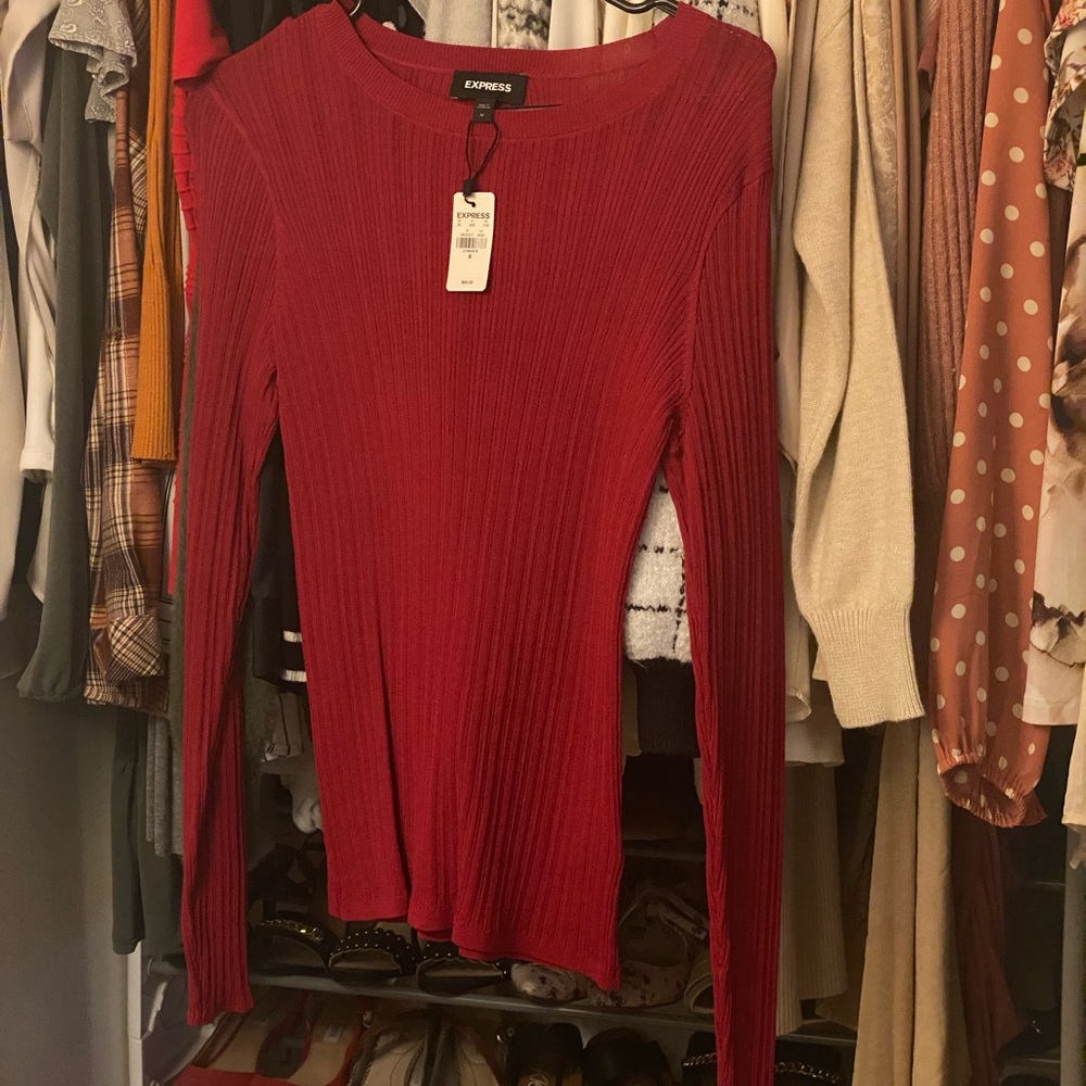 Express Red Fitted Top